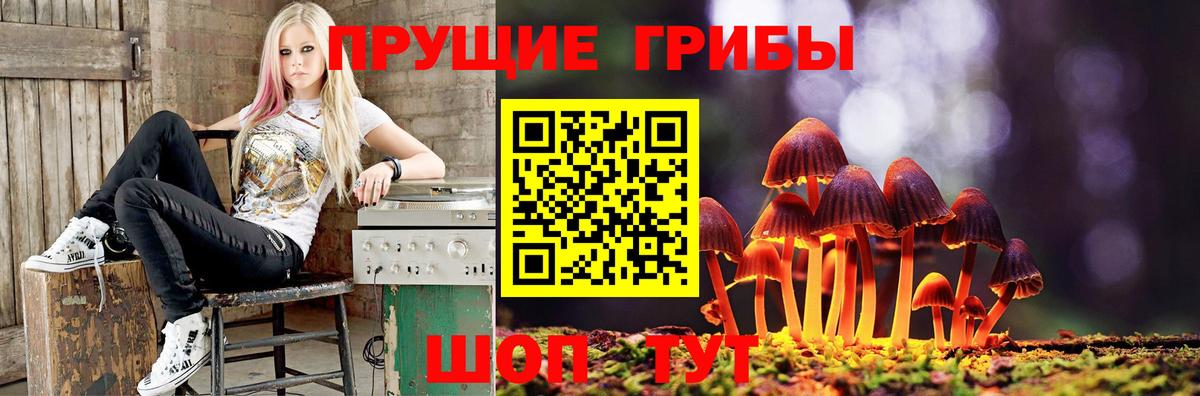Белово  Галлюциногенные грибы мицелий  Вход с VPN  Псилоцибиновые грибы MAGIC MUSHROOMS 