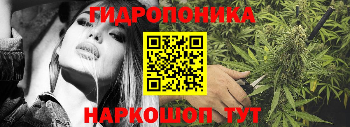 Бошки Шишки гибрид Белово